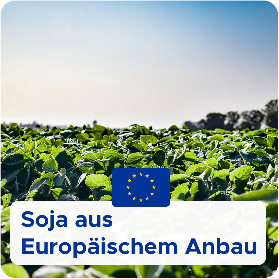 Bio-Sojawachs für Behälterkerzen 'Keragreen Soy Container' - Image 5