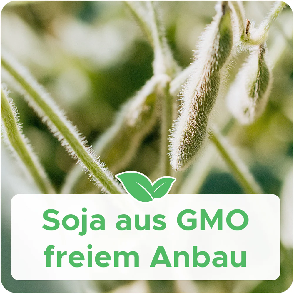 Bio-Sojawachs für Behälterkerzen 'Keragreen Soy Container' - Image 6